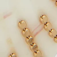Seashell Drop Earrings 