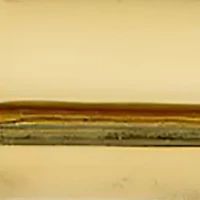 Gold Tone Stripe Dial Watch