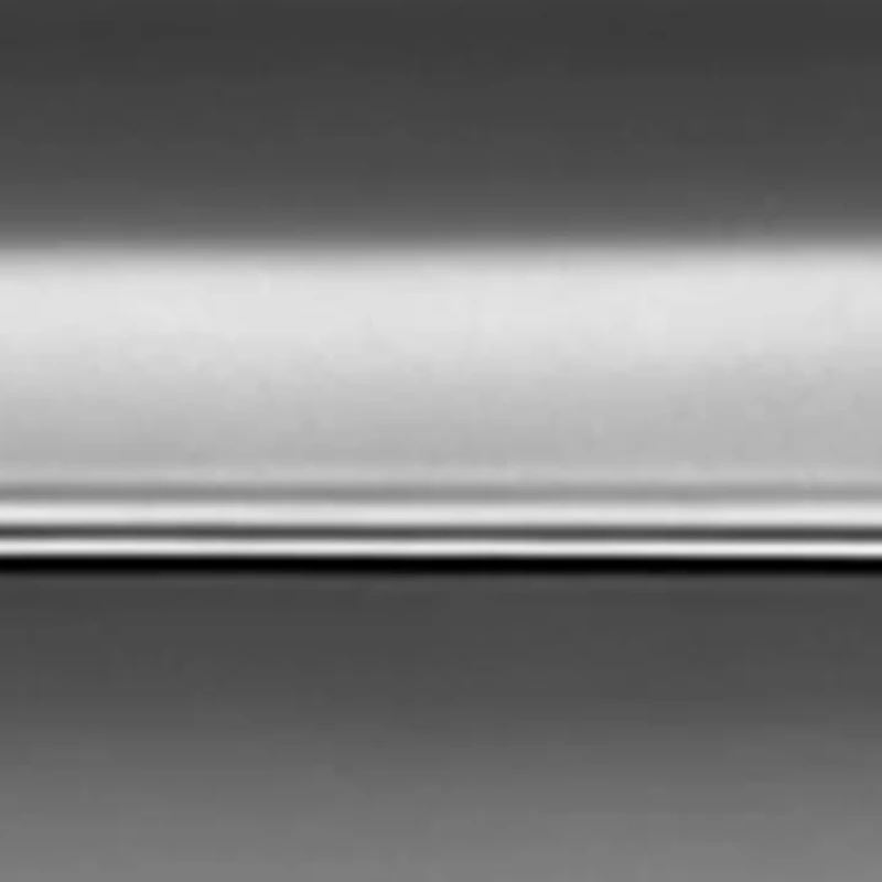 Navy Black Analog Watch