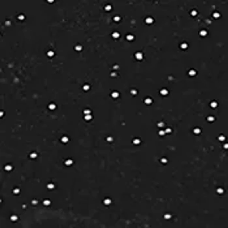 Women's Analog Sets Black Watch