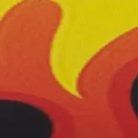 PlayZoom Fire Watch