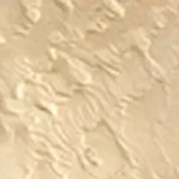 18K Gold-Plated Sea La Vie Sea Wonders Sand Dollar Stud Earrings