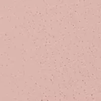 Connected Women's Bradshaw Smooth Blush Leather Strap