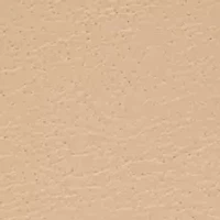 Connected Women's Bradshaw Vachetta Leather Strap