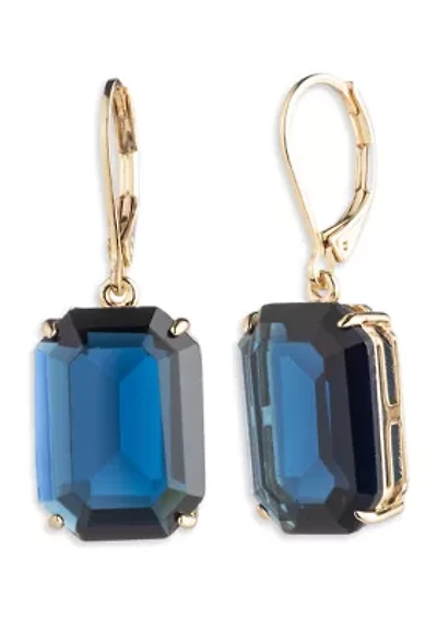 Gold Tone Stone Drop Earrings