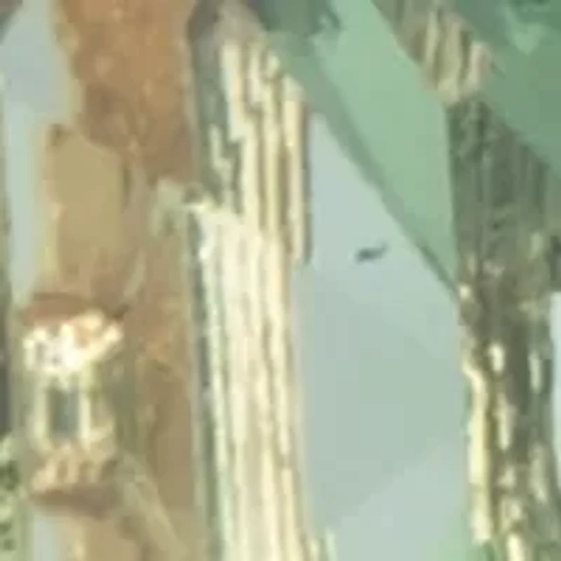 Stone Huggie Drop Earrings