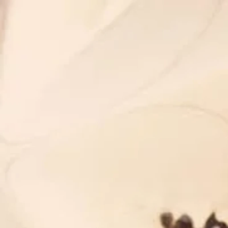 Gold Tone Star Stud Earrings