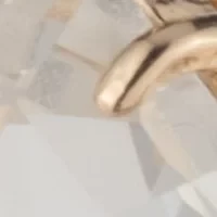 Stone Lever Back Earrings