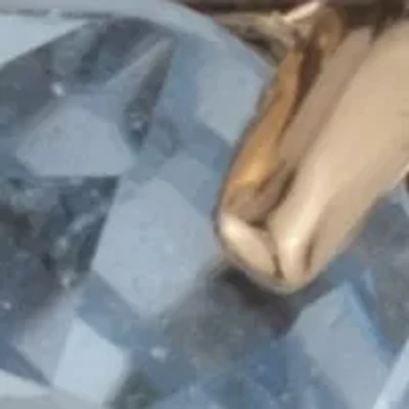 Huggie Stone Drop Earrings