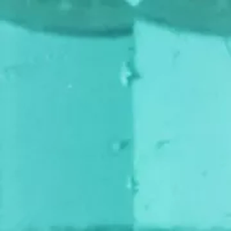 Gold Tone Stone Stud Earrings