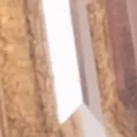 Gold Tone Hoop with Drop Stone Earrings