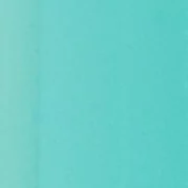 Stone Drop Gold Tone Earrings