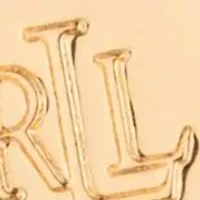 Gold Tone Tortoise Logo Pendant Necklace