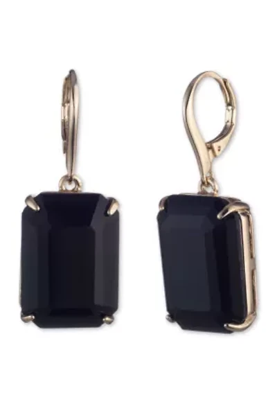 Stone Lever Back Earrings