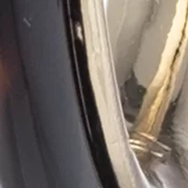 Gold Tone Tortoise Large Hoop Earrings