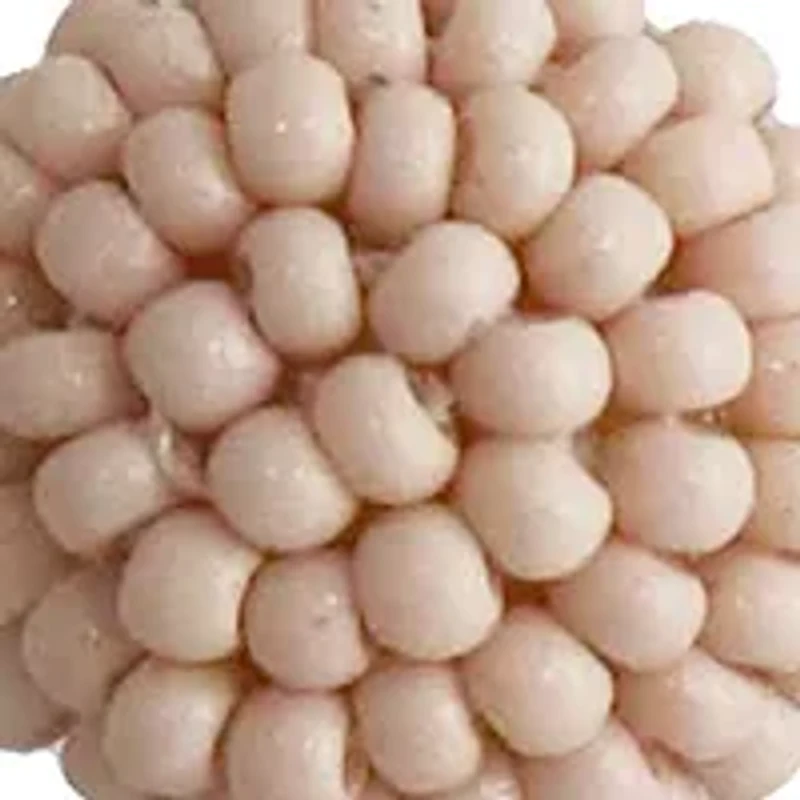 Acrylic Open Circle Drop Earrings 