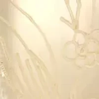 Oval Flower & Bird Etched MOP Pendant 18