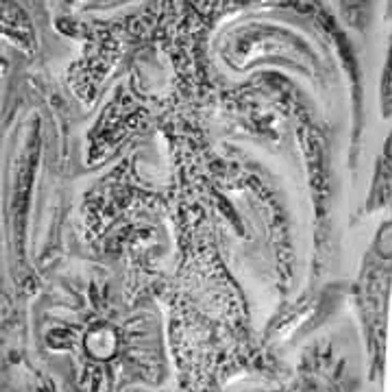 Silver Tone Cowboy Boot Charm Pendant Turquoise Bead Necklace 18"