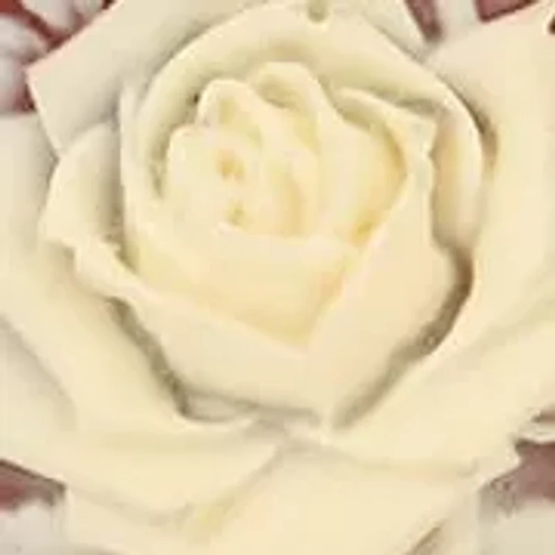 Oval Carnelian Rose Cameo Pendant 28"