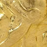 Faux Pearl & Gold Tone Coin Earring