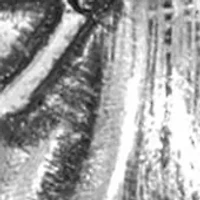 Pewter Horse Heads Necklace - 16 Inch Adj