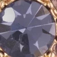 Gold Tone Purple Double Drop Earrings