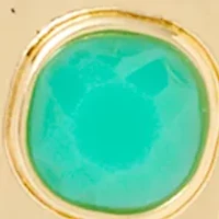 Stone Inlay Oval Orbital Earrings