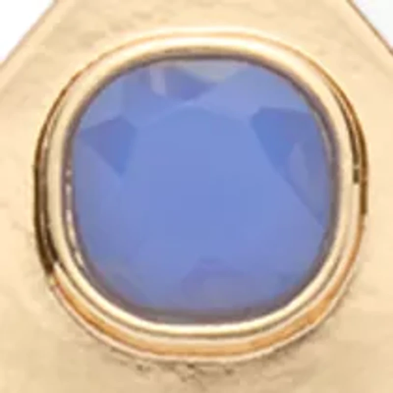 Stone Inlay Oval Orbital Earrings