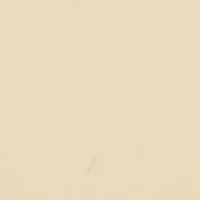 Gold Tone 15 Millimeter Enamel Bangle Bracelet