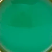 Crystal Toggle Charm Flex Bracelet