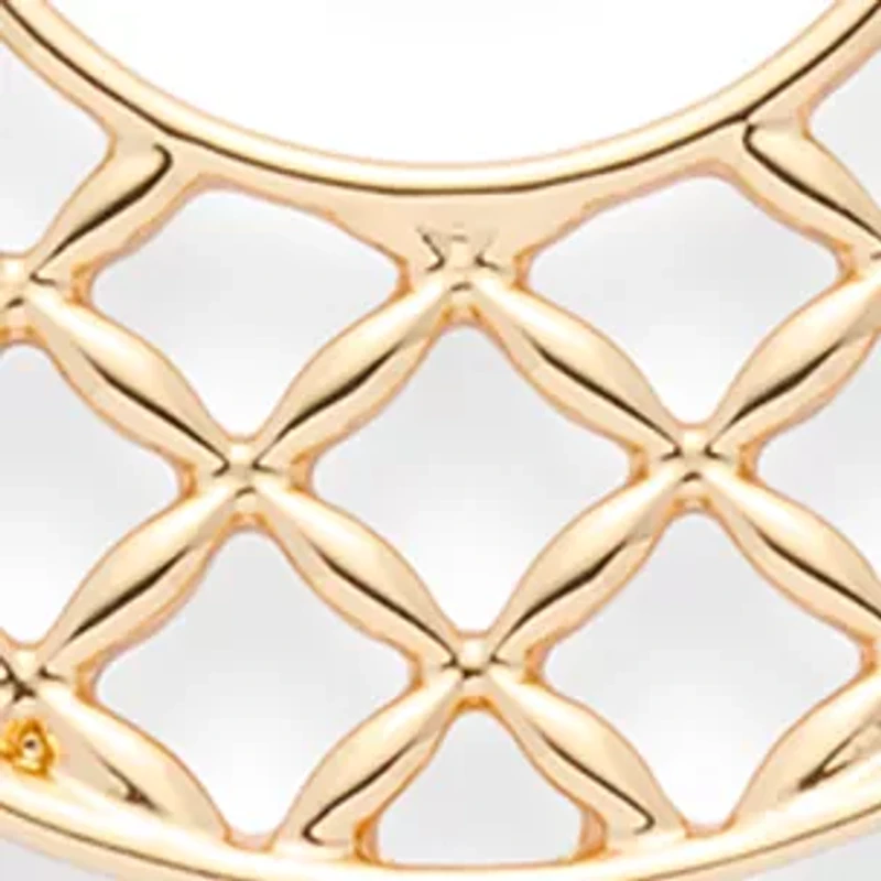 Lattice Charm Gold Tone Earrings 