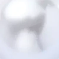 Large Pearl Gold Tone Collar Necklace