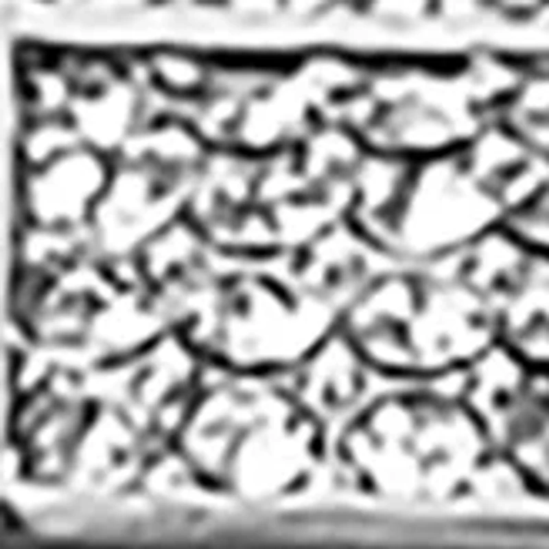 Genuine Mother Of Pearl Crystal Bracelet Watch