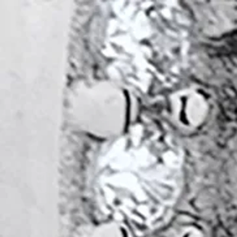 Vibrant Red CZ Earrings in Sterling Silver