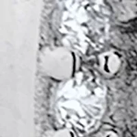 Vibrant Red CZ Earrings in Sterling Silver