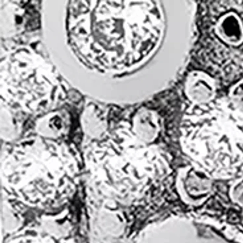 Sterling Silver Cubic Zirconia Polished Huggie Hoop Earrings