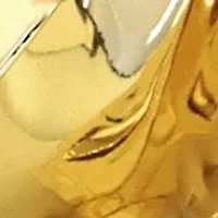 Gold Plated Petals Hoop Earrings