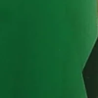 Crystal Linear Teardrop Earrings