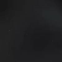 Crystal Drop Petal Earrings