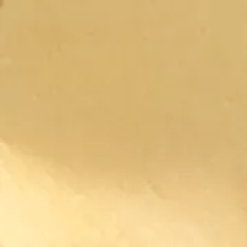 Heart Gold-Tone Stud Earrings