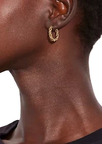 Signature C Chain Hoop Earrings