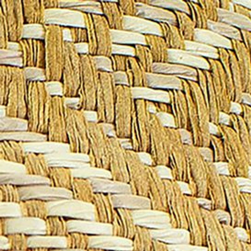 Woven Raffia Printed Headband 