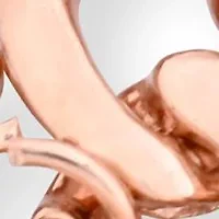 TAHARI Ladies Rose Goldtone Charm Watch