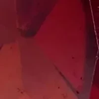 Sterling Silver & Genuine Stone Collection Ring