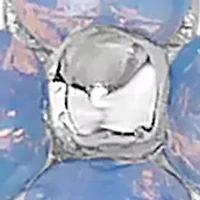 Blue Flower Huggie Hoop Earrings