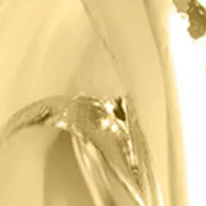 Twisted Hoop Earrings