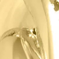 Twisted Hoop Earrings