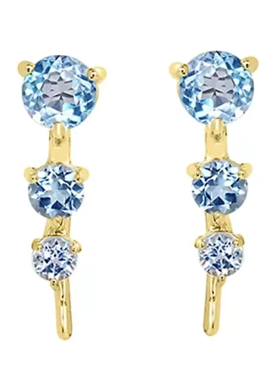 Sterling Silver Blue Stone Earrings