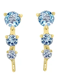 Sterling Silver Blue Stone Earrings