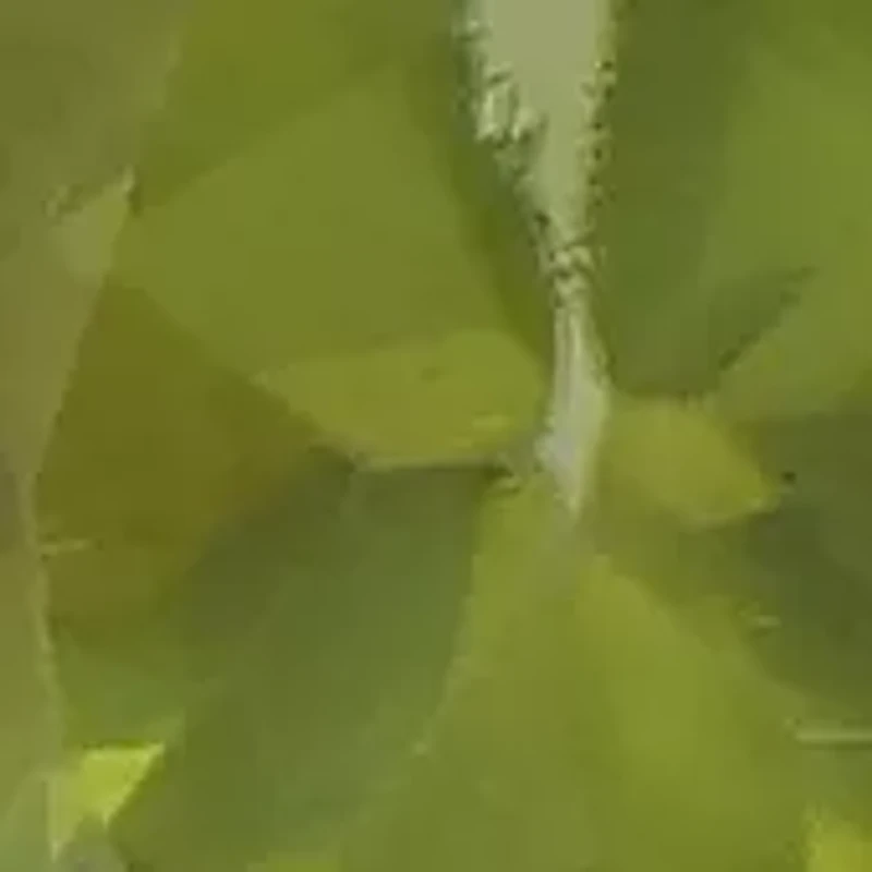 Gold over Sterling Silver Opal and White Topaz Pear Ring